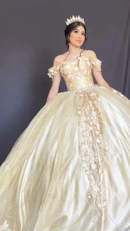 Zip-Up DressCharming Off The Shoulder Appliques Ball Gown Sweet 16 Dress Y2596